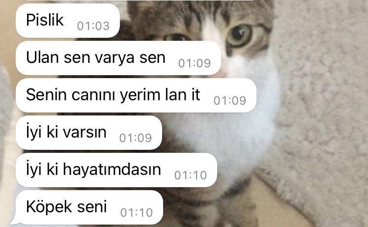 yakın arkadaşımdan aldığım en güzel iltifat fşwkdşekdlnefö