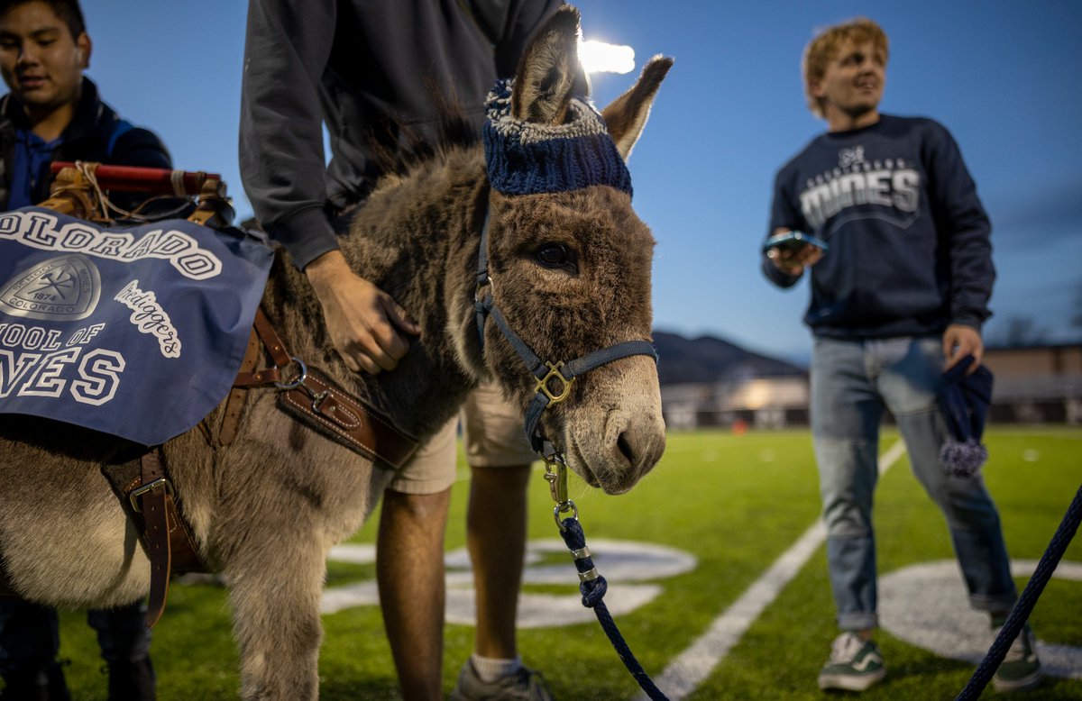 coschoolofmines's tweet photo. On a scale of ๐ to ๐ญ, how cute did Blaster look at the last @MinesFootball game?
#helluvaburro #blastertheburro @minesbluekey https://t.co/pjw1Fr9650