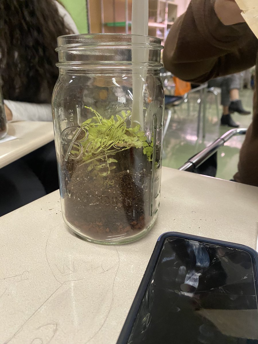 MsWelshNGHS's tweet photo. @NorthGrandHS Garden Club is making terrariums! Thanks to Sprout Home for donating plants and materials. ❤️🌿❤️🌿❤️ https://t.co/7PuhIVZlfg