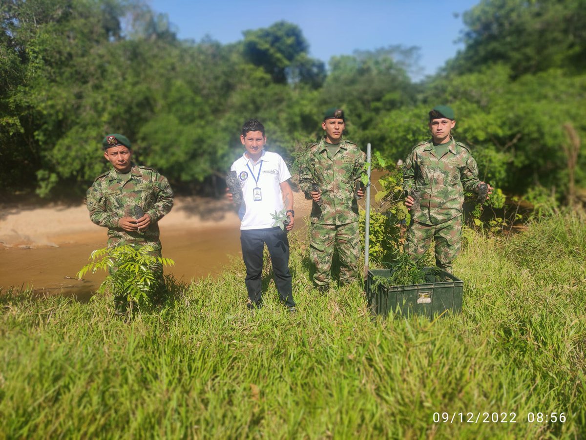 Ejercito_Div6's tweet photo. #PlanPerseo | El Batallón de Operaciones terrestres N.° 22 del @COL_EJERCITO realizó la siembra de 2.130 plántulas de diferentes especies en el municipio de La Montañita #Caquetá, en conjunto con la Umata.

#CustodiosDelMedioAmbiente https://t.co/IrwlhutoKB