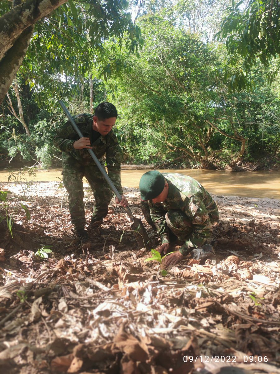 Ejercito_Div6's tweet photo. #PlanPerseo | El Batallón de Operaciones terrestres N.° 22 del @COL_EJERCITO realizó la siembra de 2.130 plántulas de diferentes especies en el municipio de La Montañita #Caquetá, en conjunto con la Umata.

#CustodiosDelMedioAmbiente https://t.co/IrwlhutoKB