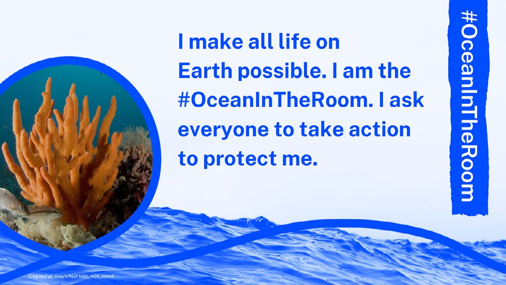 Decision makers need to be the #OceanInTheRoom – not only at conferences and meetings dedicated to marine protection, but always. We call on them to lead the way towards securing strong outcomes at #COP15 and beyond: #30x30 #MPAs #HighSeasTreaty and more. oceanintheroom.org