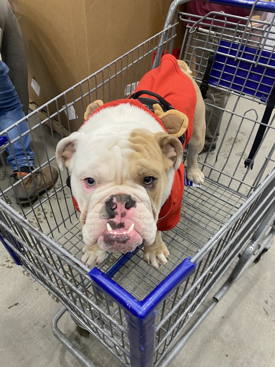 Our Pro team receiving credit badges today, another awesome Pro Rally !! Thank you team for all you do !! <a href="/AndyBlier2322/">Andy B</a> <a href="/MichaelR18PRO/">Michael</a> <a href="/Anthony_Battle1/">Anthony Battle</a> <a href="/BDabrieo/">Brian Dabrieo</a> <a href="/TheProRally/">Pro Rally</a> #ProRally