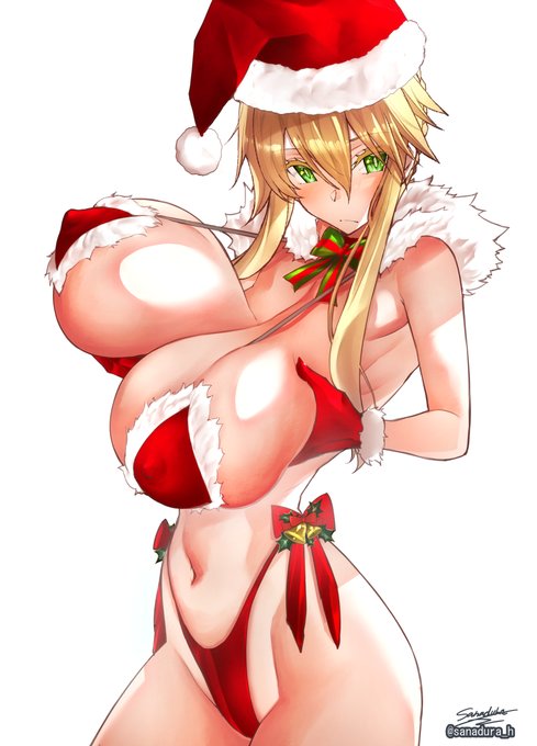「…は? これ、ですか?」
#クリスマスプレゼント乳王
#FGO 
