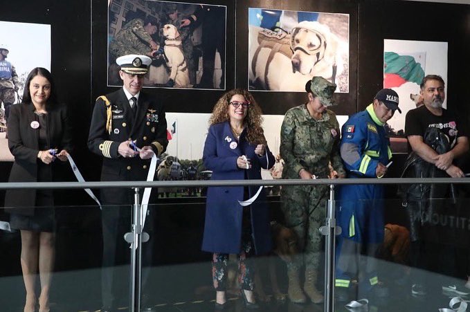 RocioAbreuA's tweet photo. Esta exposición es en su honor y para recordar que si los animales pueden rescatar humanos, los humanos también podemos rescatar animales. ❤️

Desde el Senado de la República realizamos la exposición fotográfica “Frida, México te agradece”.

#Campeche #CiudadDelCamen #Morena https://t.co/EP3rYt0Wgx