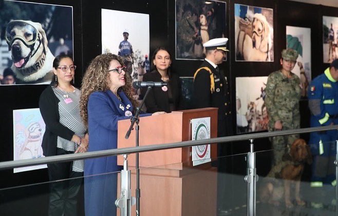 RocioAbreuA's tweet photo. Esta exposición es en su honor y para recordar que si los animales pueden rescatar humanos, los humanos también podemos rescatar animales. ❤️

Desde el Senado de la República realizamos la exposición fotográfica “Frida, México te agradece”.

#Campeche #CiudadDelCamen #Morena https://t.co/EP3rYt0Wgx