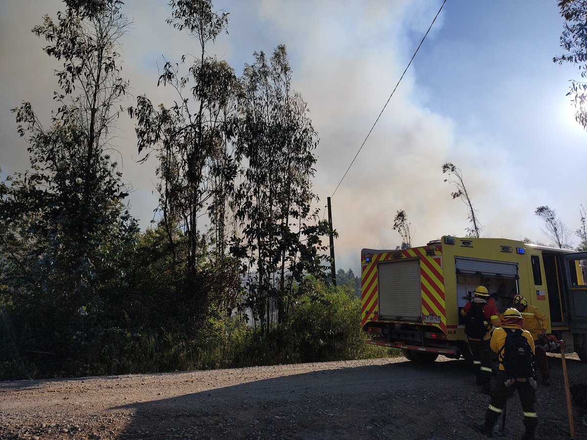 Cuerpo de Bomberos de Tomé tweet media