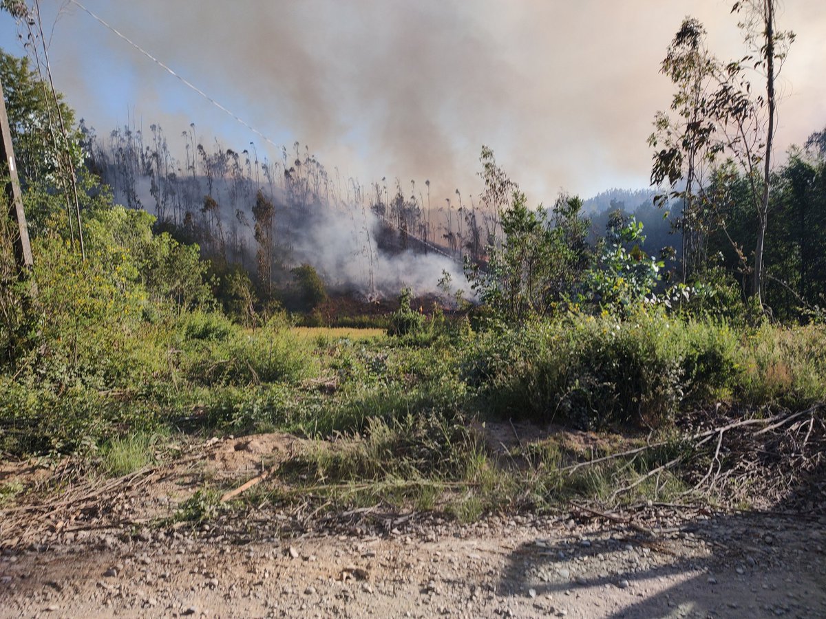 Cuerpo de Bomberos de Tomé tweet media