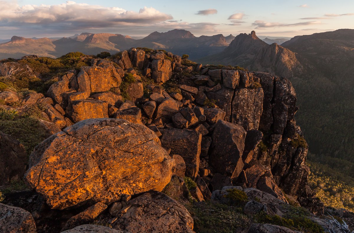 It's been 40 years since the greatest estate on Earth was protected with #worldheritage status. A heartfelt thank you to all who made that happen and those that continue to fight to defend and extend the Tasmanian Wilderness World Heritage Area (TWWHA) #auspol #politas 🙏💚