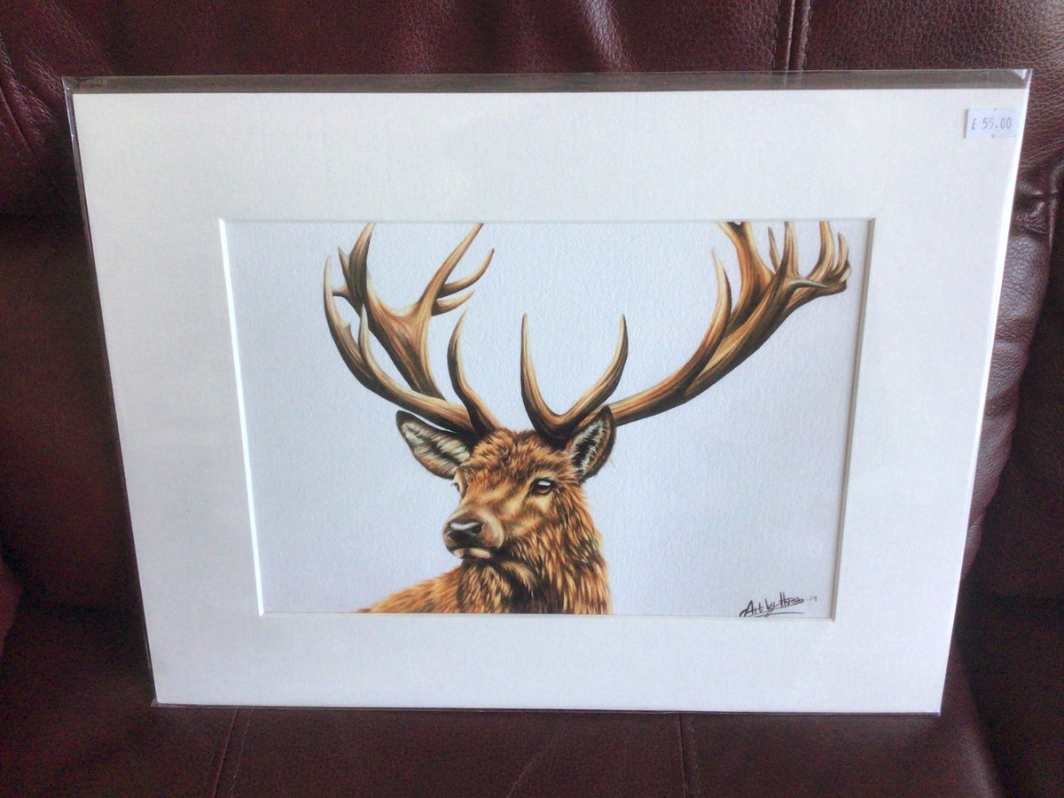 We have a small selection of mounted A4 giclee prints #readytopost. This stag now £40 inc pp #mhhsbd #stag  #earlybiz #elevenseshour #wednesday #Xmas #giftideas #ukmakers #craftbizparty #SmallBusiness