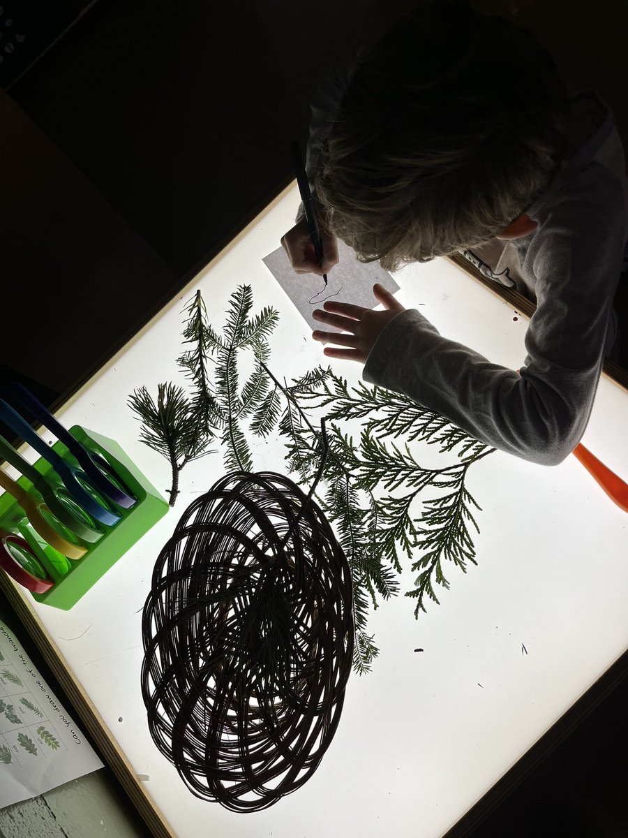 JessMease's tweet photo. We spent a lot of time observing the changes of the seasons. Today we explored some things that donโt changeโฆevergreens! ๐ฒ Scientists at work! @hopewellECS #wonderworkshop https://t.co/egJx9JSfzc