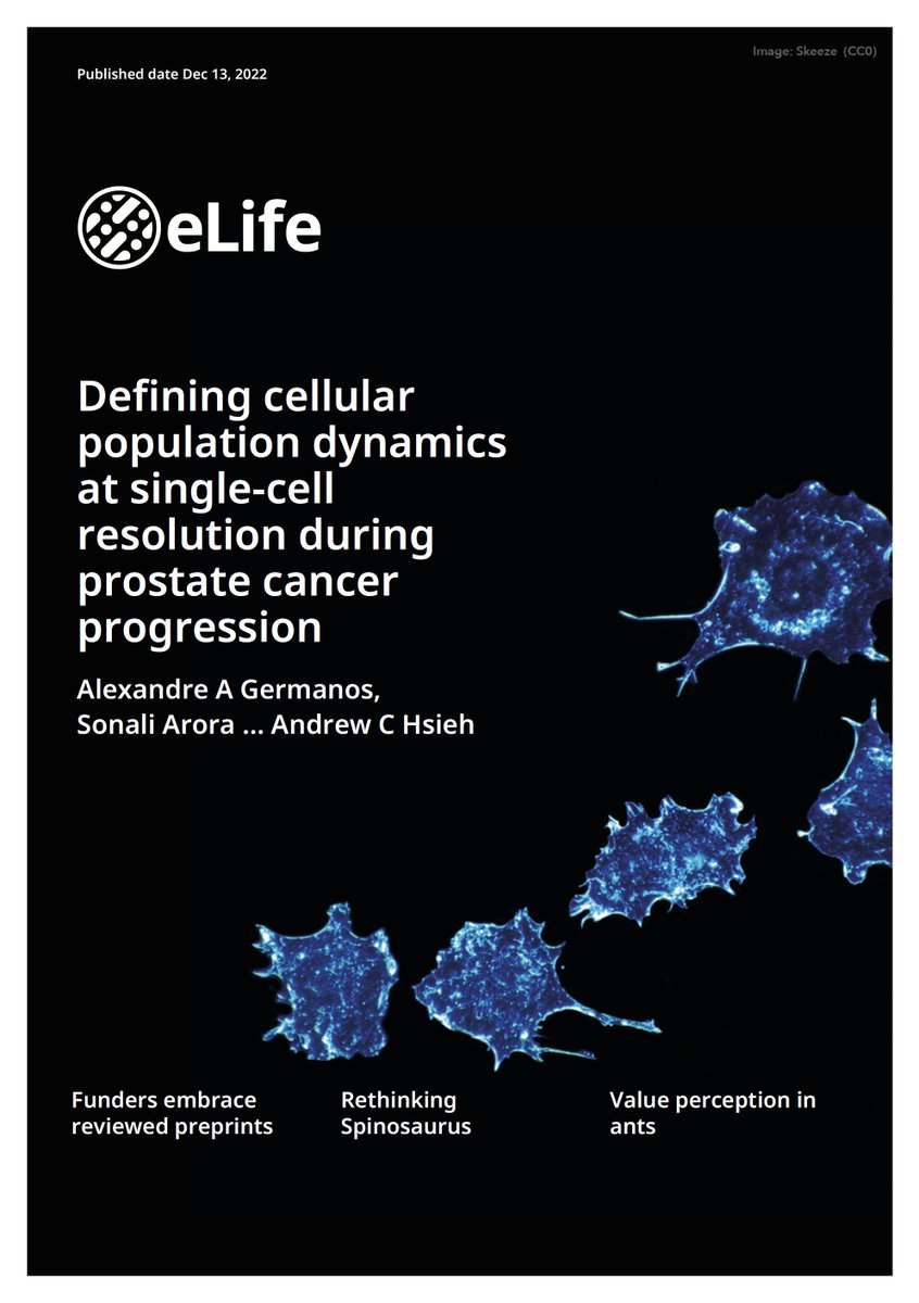 Hsieh Lab (@hsiehlab) on Twitter photo Ever wonder wonder why prostate cancer cells become heterogeneous with treatment? <a href="/Alexrnagerm/">Alexandre Germanos</a> from <a href="/HsiehLab/">Hsieh Lab</a> did for his <a href="/MCBSeattle/">Seattle MCB Program</a> PhD work and it is so great to see his paper accepted and out today in <a href="/eLIFE/">eLife - the journal</a> (elifesciences.org/articles/79076). Check out his tweetorial too! Ever wonder wonder why prostate cancer cells become heterogeneous with treatment? <a href="/Alexrnagerm/">Alexandre Germanos</a> from <a href="/HsiehLab/">Hsieh Lab</a> did for his <a href="/MCBSeattle/">Seattle MCB Program</a> PhD work and it is so great to see his paper accepted and out today in <a href="/eLIFE/">eLife - the journal</a> (elifesciences.org/articles/79076). Check out his tweetorial too!