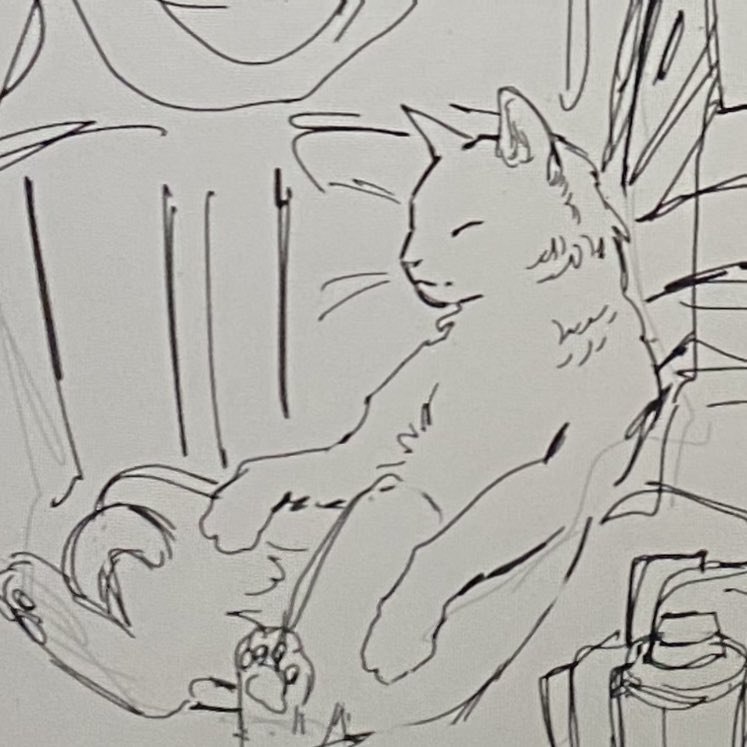 kitty cat 