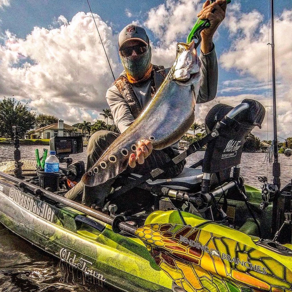 Viciousfishing's tweet photo. What what an awesome fish caught using Vicious!!! Has anyone else ever caught one of these??? #fishing #strangefish #kayakfishing #viciousfishing #getvicious https://t.co/huDE2JeVSD