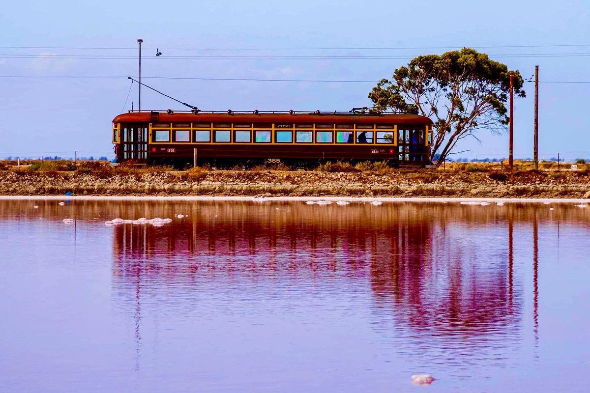 Ⓐ ⒼⓇⒺⒺⓃ ⒸⓄⓌ tweet media