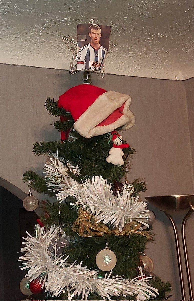 Somehow, Bruntys managed to survive the day at the top of the tree without my mum clocking him #wba