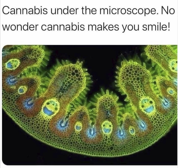 Only acceptable emojis #cannabis #weed #high