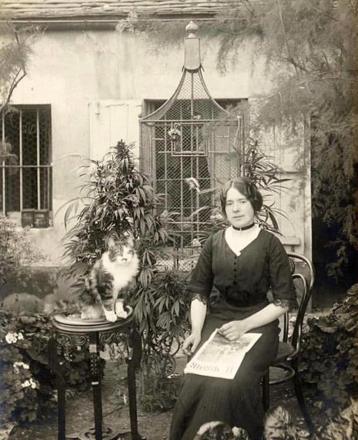 A Parisian woman with her cat in her cannabis garden, 1910. #cannabis #weed #high