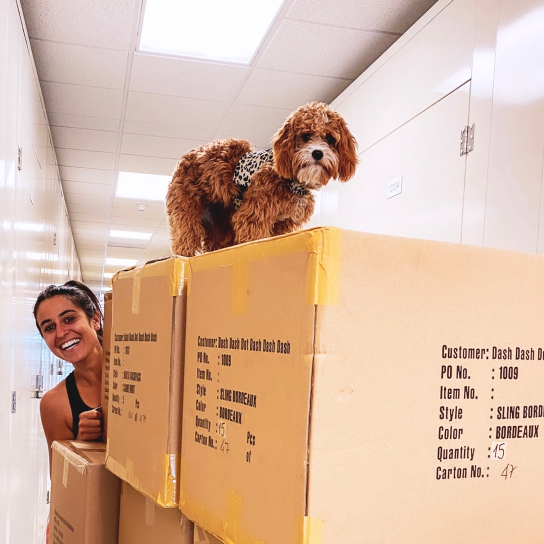 go_dashdot's tweet image. Just a friendly reminder that today is the last day for Ground Shipping for holiday delivery 🚚 🐾

#godashdot #shipping #holidayshipping