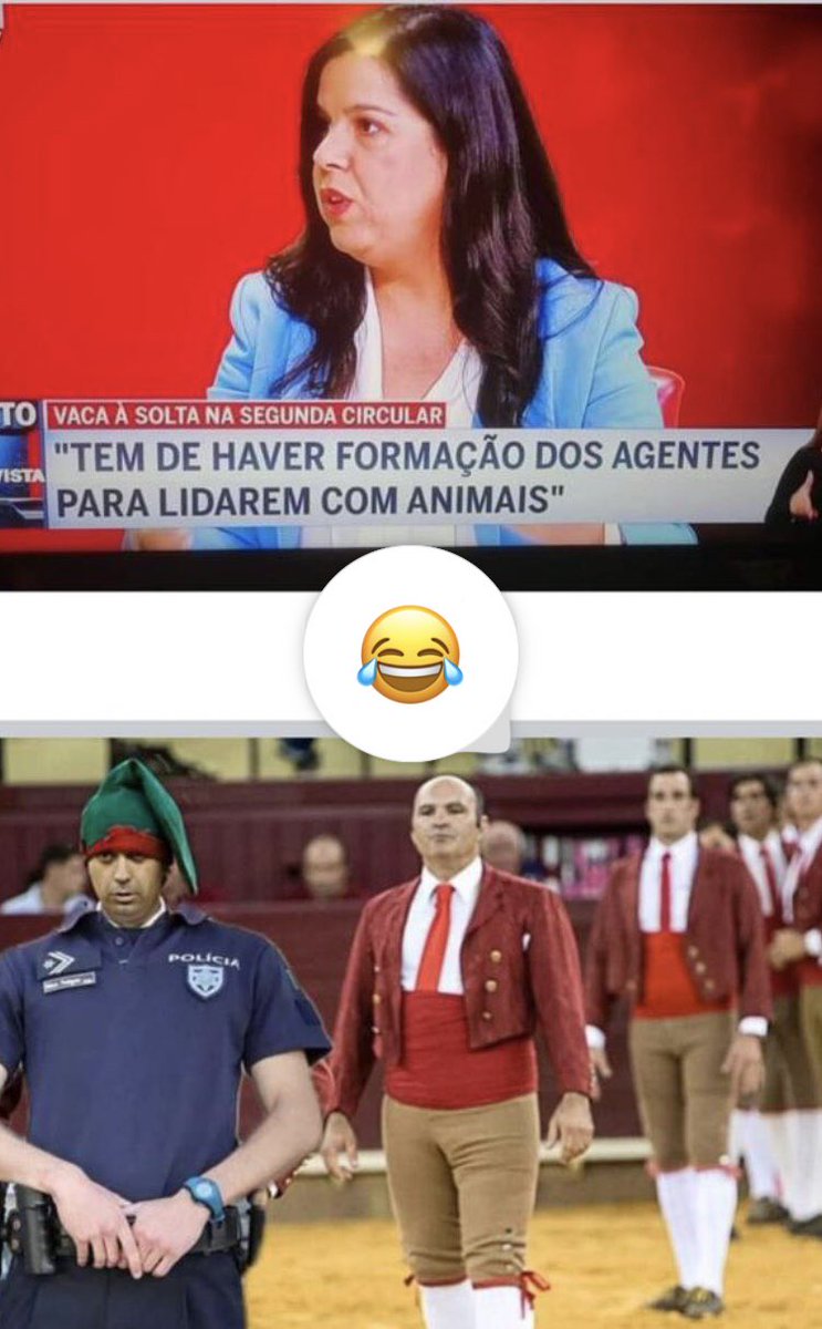 Touradas tweet media