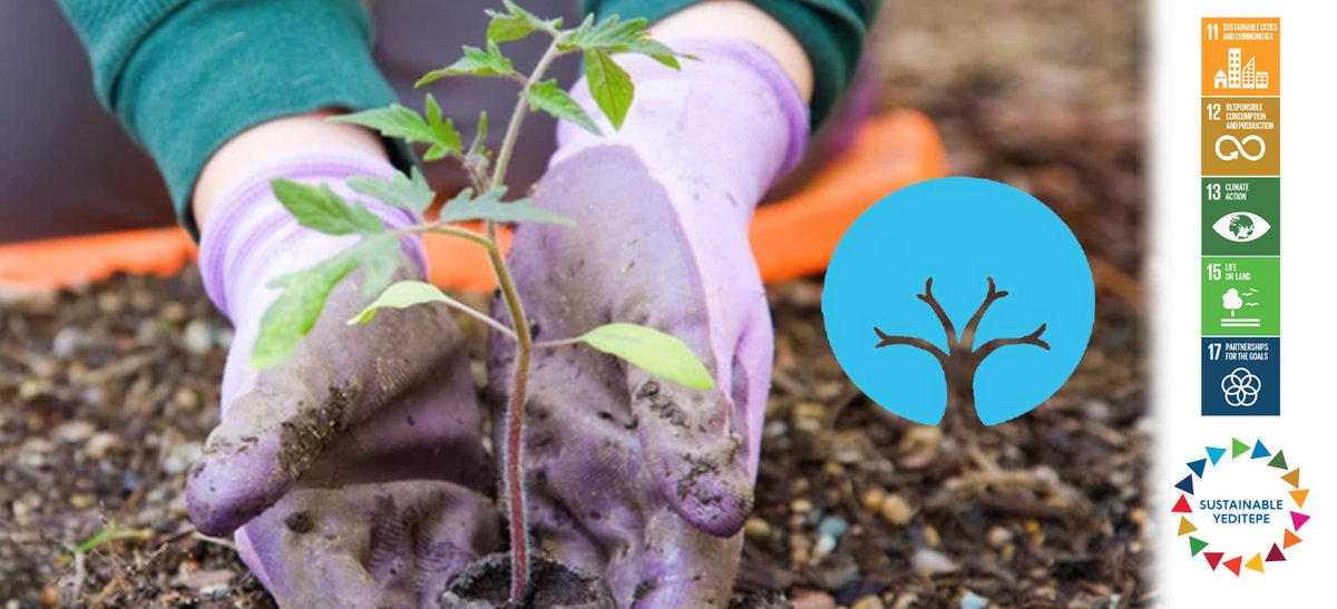 Bireysel öğrenme ve kolektif çalışma üzerine kurulu anlayışlarıyla bu konuda farkındalık geliştiren Bir Fidan Ormanı isimli proje yitenlerin yerine yeni ormanlar oluşturmak için çalışıyor;
birfidanormani.org
<a href="/YeditepeUni/">YeditepeÜniversitesi</a>