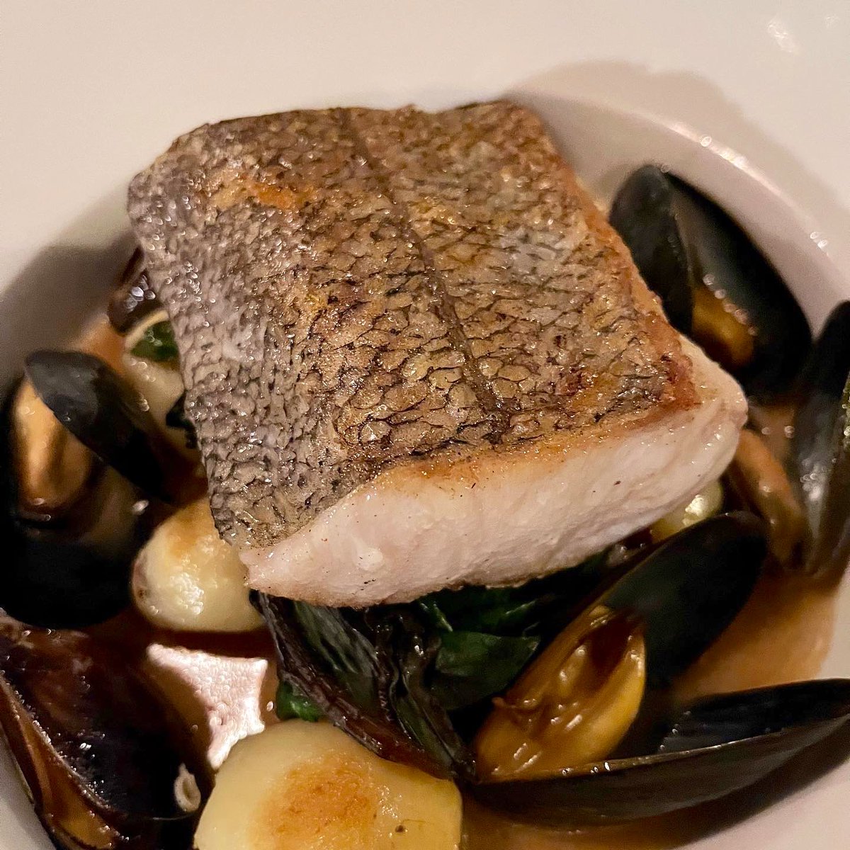littlebedwyn's tweet photo. Fab dinner @Salut_London the grilled Hake was perfect - top value wine list included a bargain @liberty_wines @crystallumwines Chardonnay @WOSA_UK https://t.co/ari6xGMAID