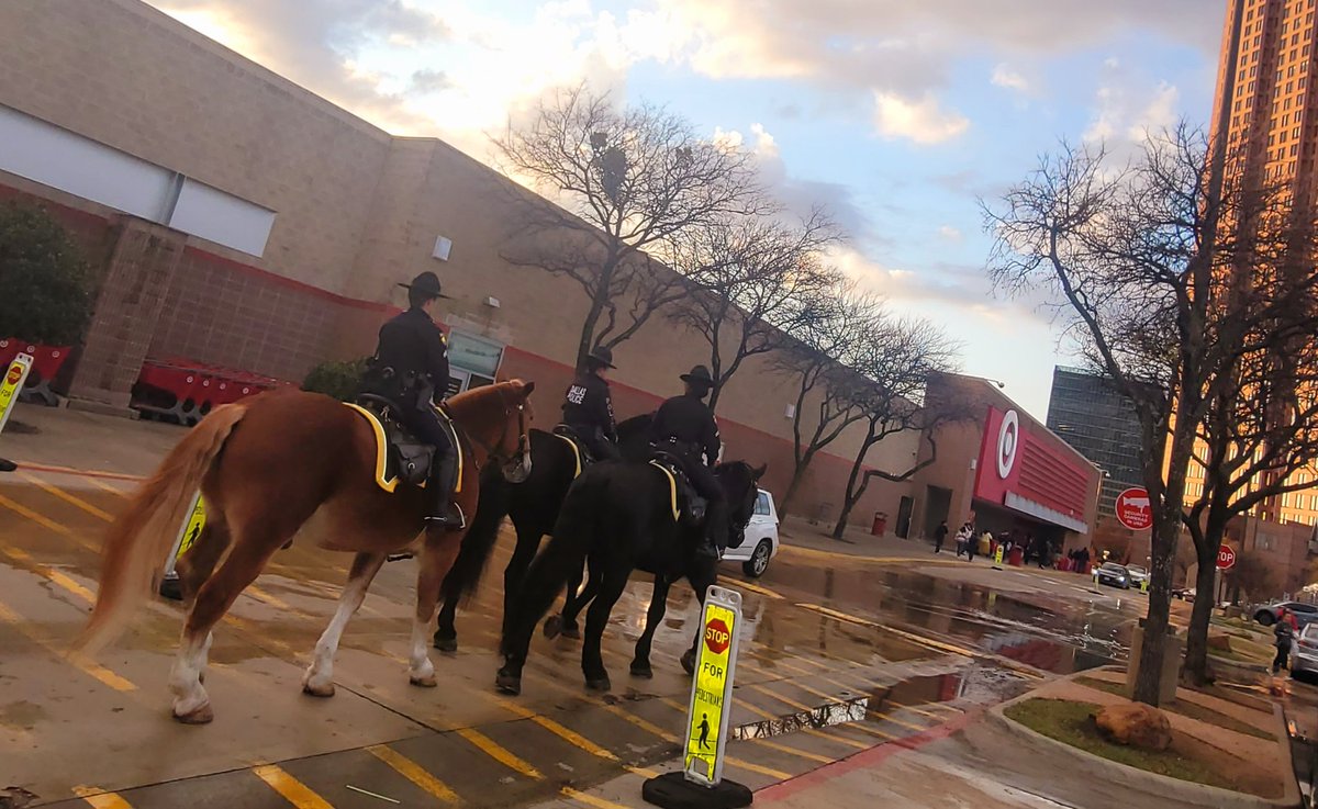 DPDUnidos tweet media