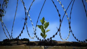 The_CJC's tweet photo. After a year's research, CJC has addressed and made valuable recommendations to the issue of 'recidivism' in Australia, which refers to the high level of reoffending by released prisoners.

Find the full paper here to learn more: https://t.co/x7URT67EHp

#CriminalJustice https://t.co/rajTusrRZ7