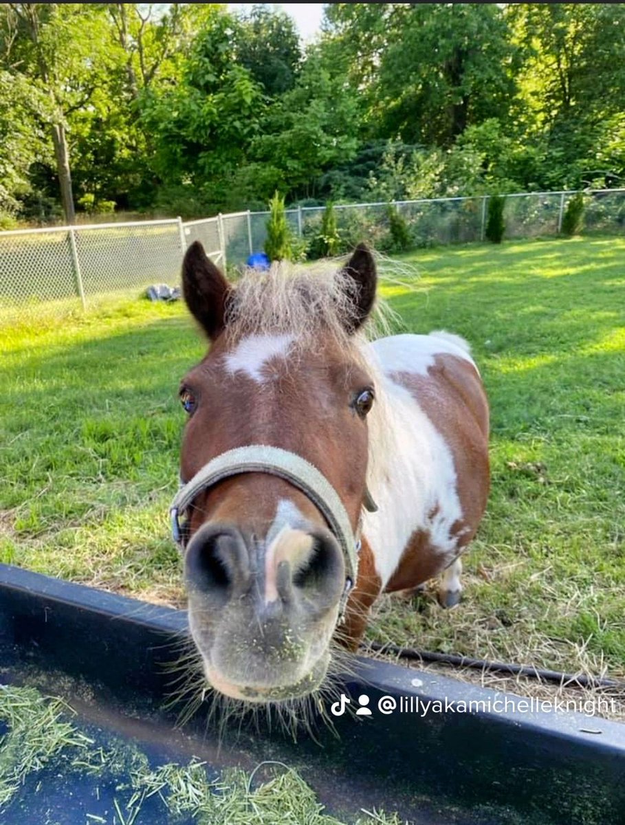 Everyone say hello to Angel❤️