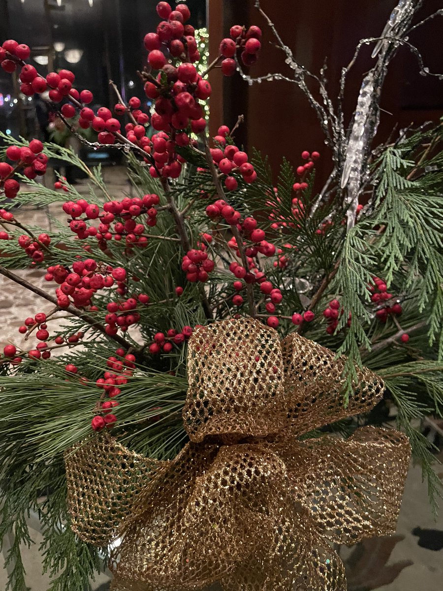 feldstej's tweet photo. #ASH22 #BestOfASH #home #happyholidays #ASHViews https://t.co/LbgGxKDF1F