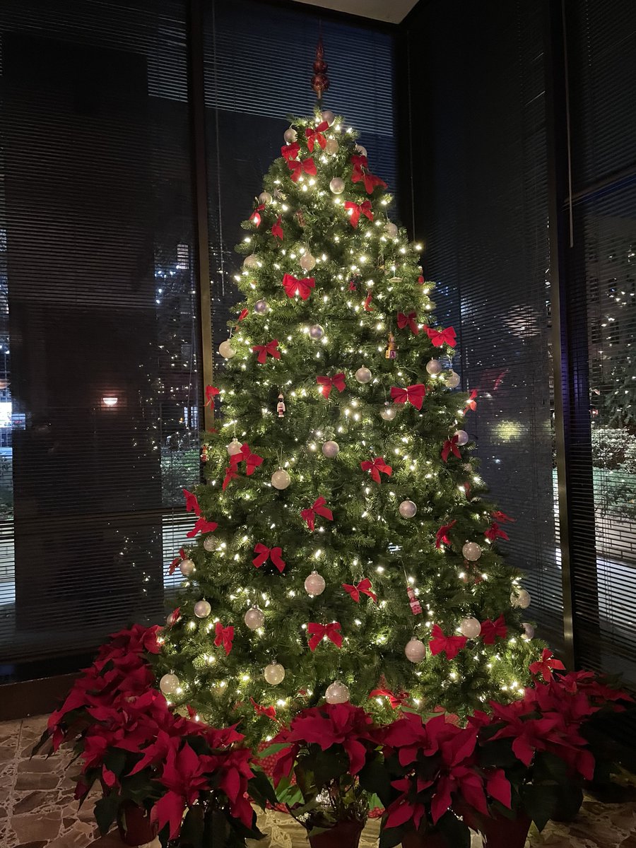 feldstej's tweet photo. #ASH22 #BestOfASH #home #happyholidays #ASHViews https://t.co/LbgGxKDF1F