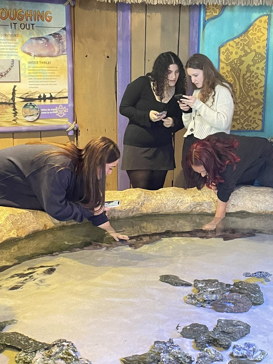 DisneySciNerd's tweet photo. Marine Sci 1 students had a great day at @AdventureAqua with their water quality lab and interacting with marine life #barnegatinspires #onebarnegat #bhsscience @Barnegat_HS https://t.co/nY2gTGuEgx