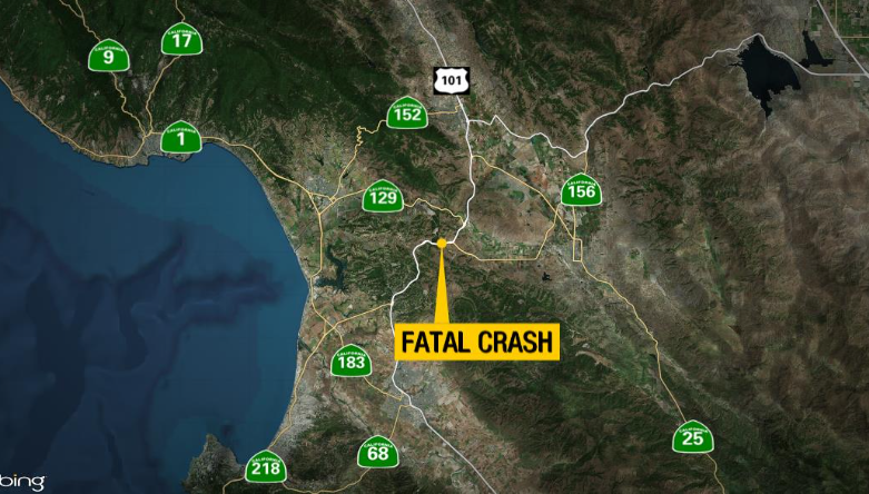kron4news's tweet image. Two people were killed, five others injured after a eucalyptus tree fell on Hwy 101 early Sunday morning and caused three crashes. STORY: trib.al/qhEvwId