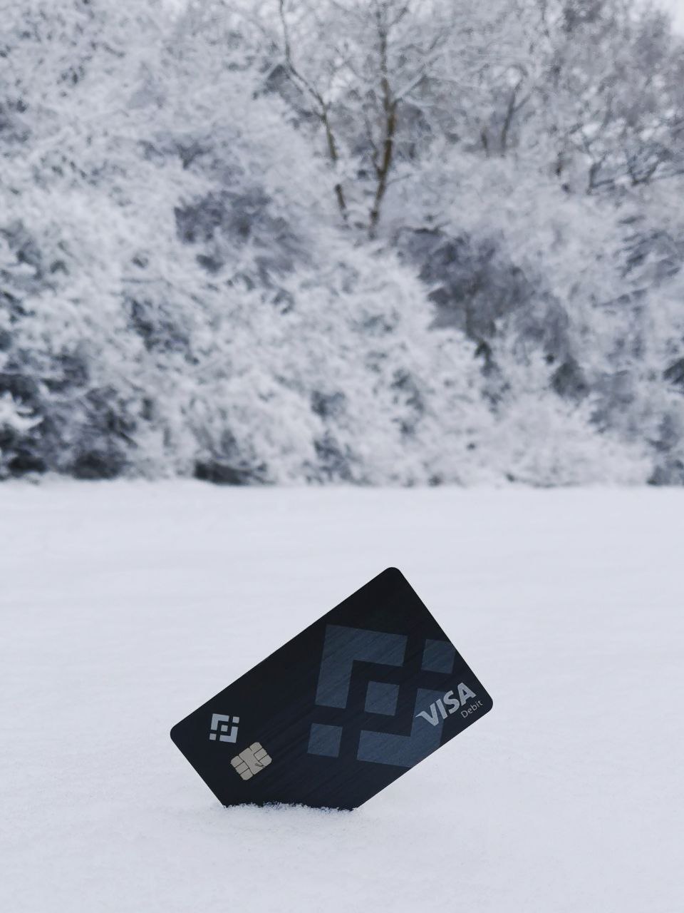 binance-on-twitter-binance-card-in-its-winter-element-https-t-co