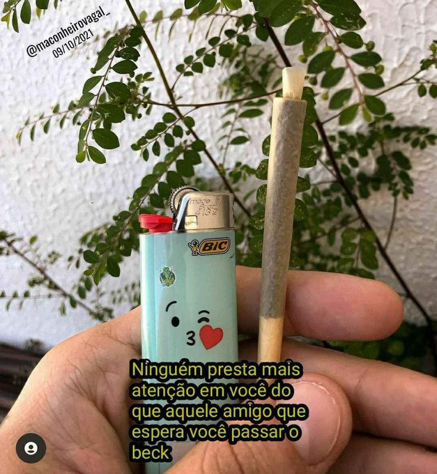 MaconheiroMemo's tweet photo. https://t.co/NS7l4DRtkH