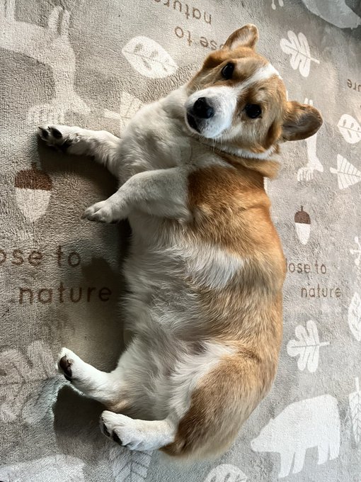 おはようございます。 