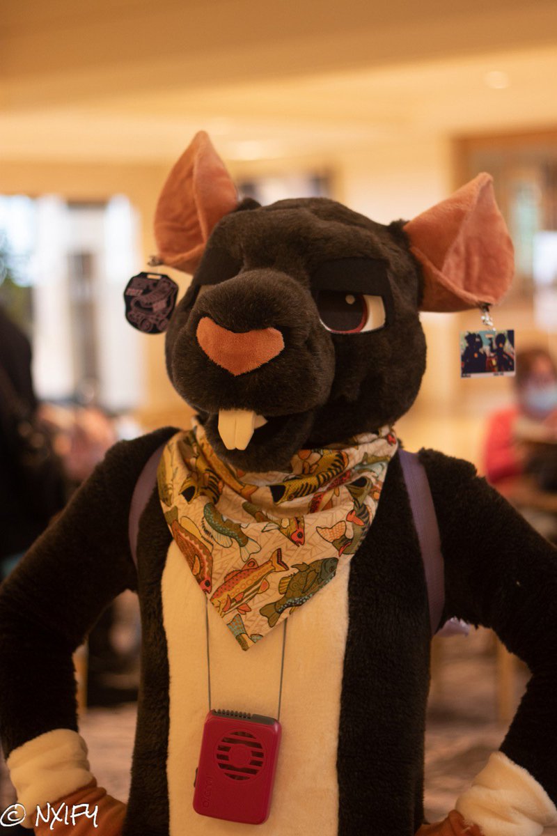 Thanks for this killer pic <a href="/nxify/">Tenn 🔜 SG 🇸🇬</a>  #Fursuiting #furryfandom #fursuit #rat