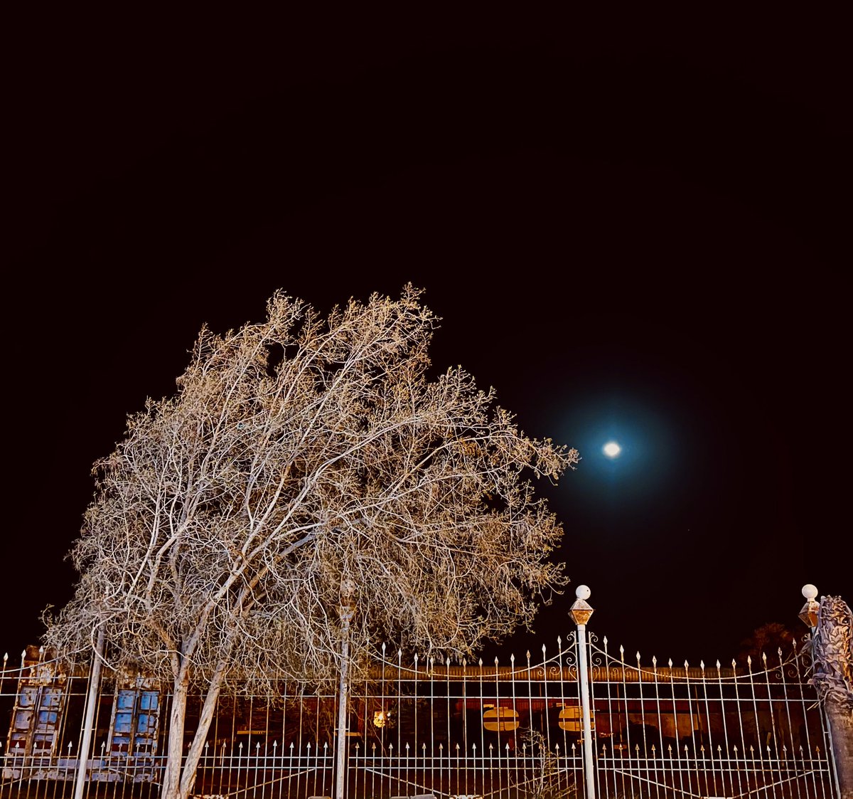 Be7665's tweet image. "قومٌ إذا جالستهم يبرد الفنجان ويدفأ قلبي".