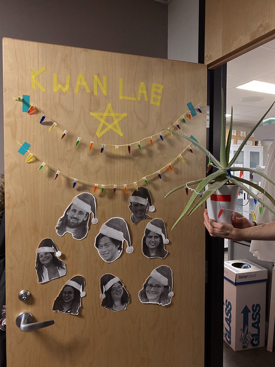 genomejake's tweet photo. Making the lab a little merrier for a @glyconet_nce Christmas with the Kwan Lab! https://t.co/pDRlWIAfs6