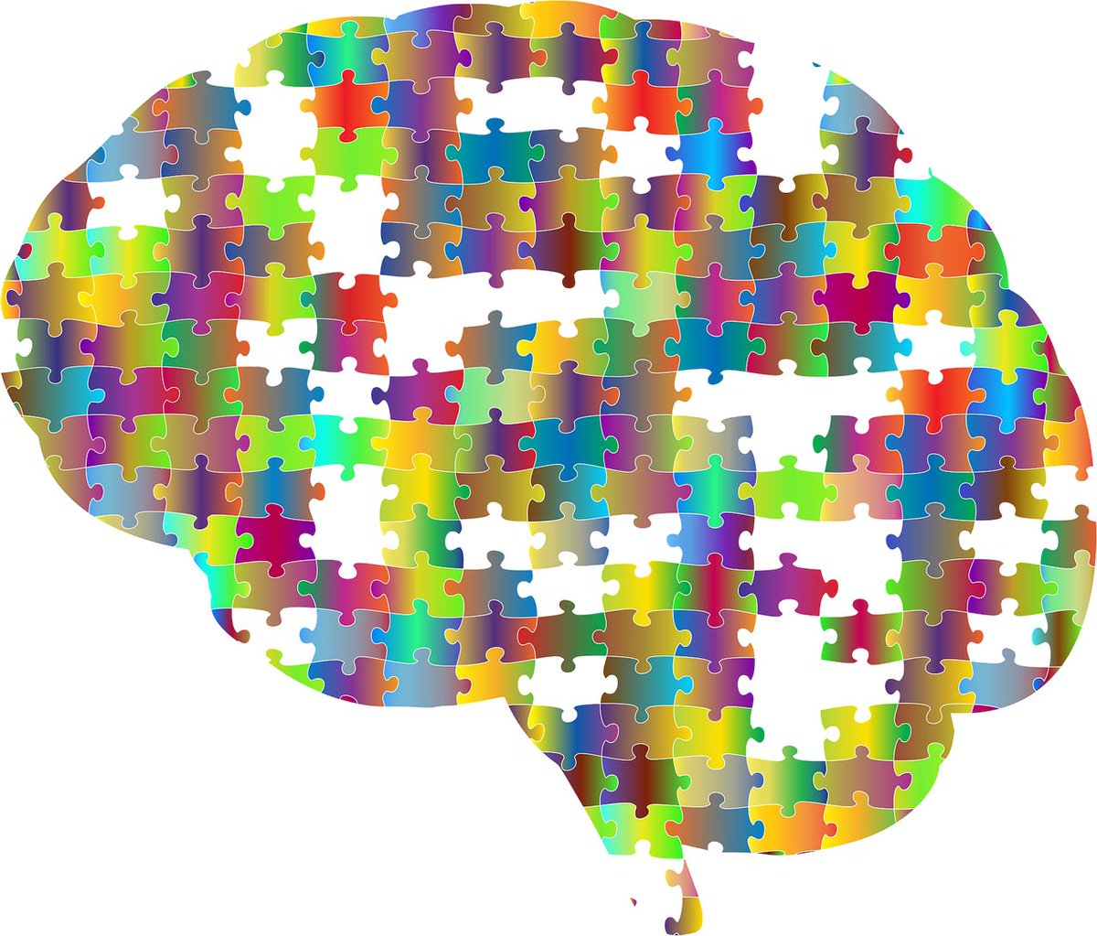 Large? Small? Bumpy? Smooth? There is clear functional importance for different brain regions growing to different sizes and shapes.

Discover how early development shapes the different parts of your brain.

bit.ly/3hp98A6

#QBI #TheBRAIN #TheDevelopingBrain #Magazine