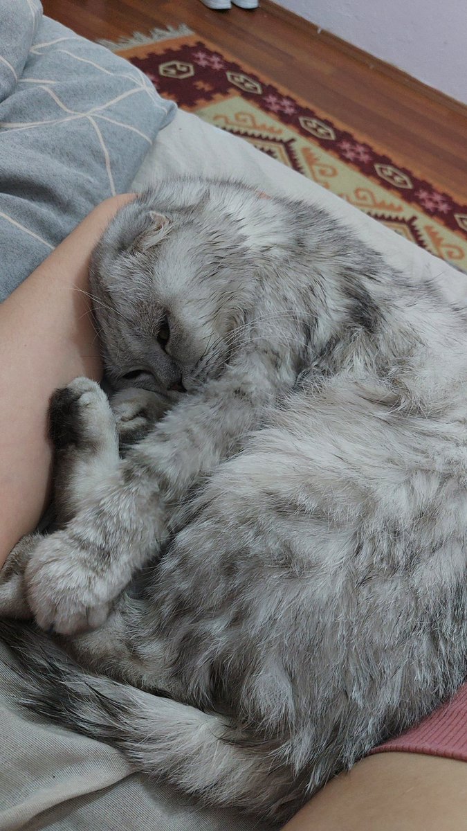 ismini vermek istemeyen kullanici (@kuoxlm) on Twitter photo 