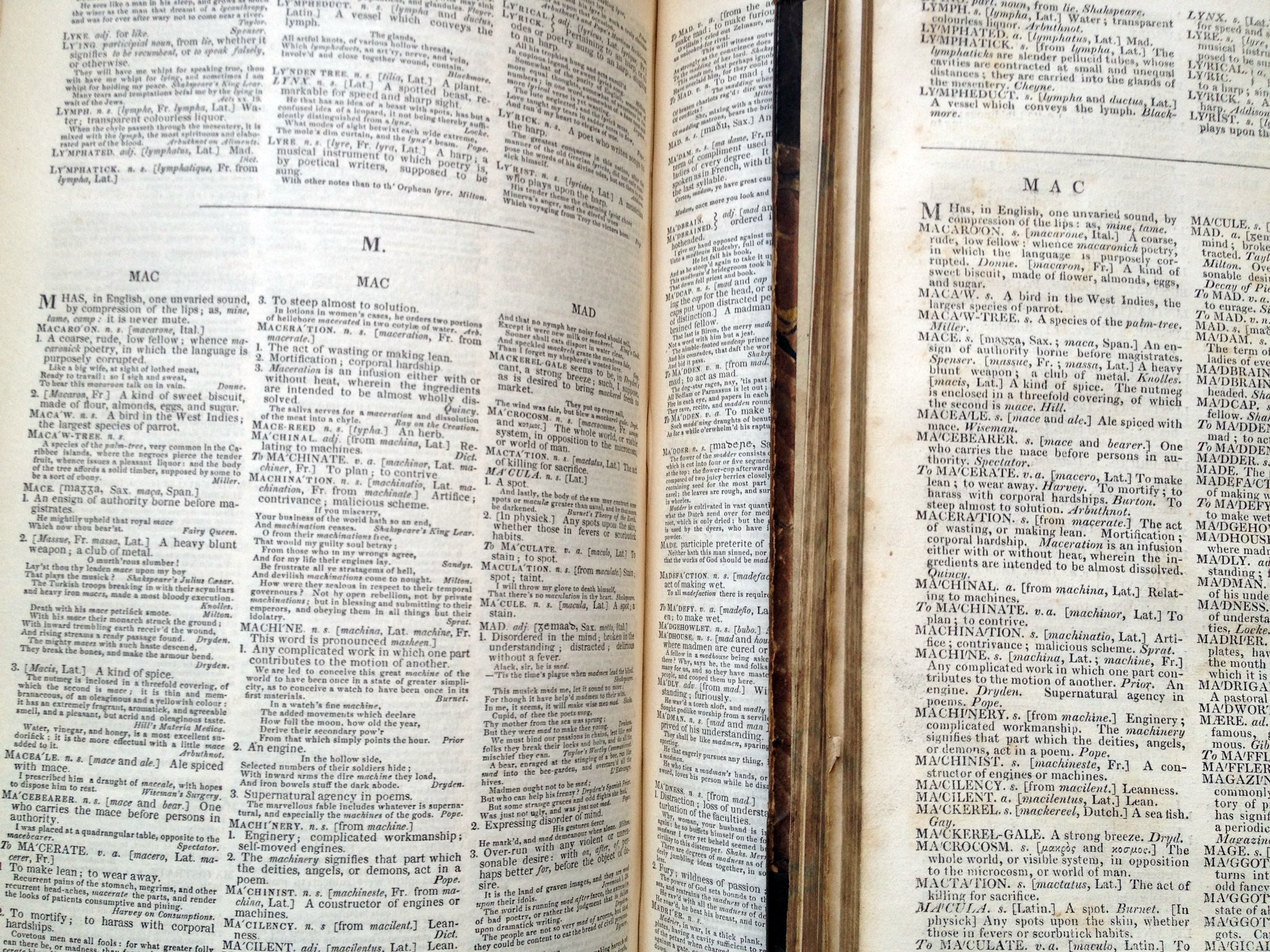 Johnson's Dictionary became the definitive English dictionary, both in form and content - it set the