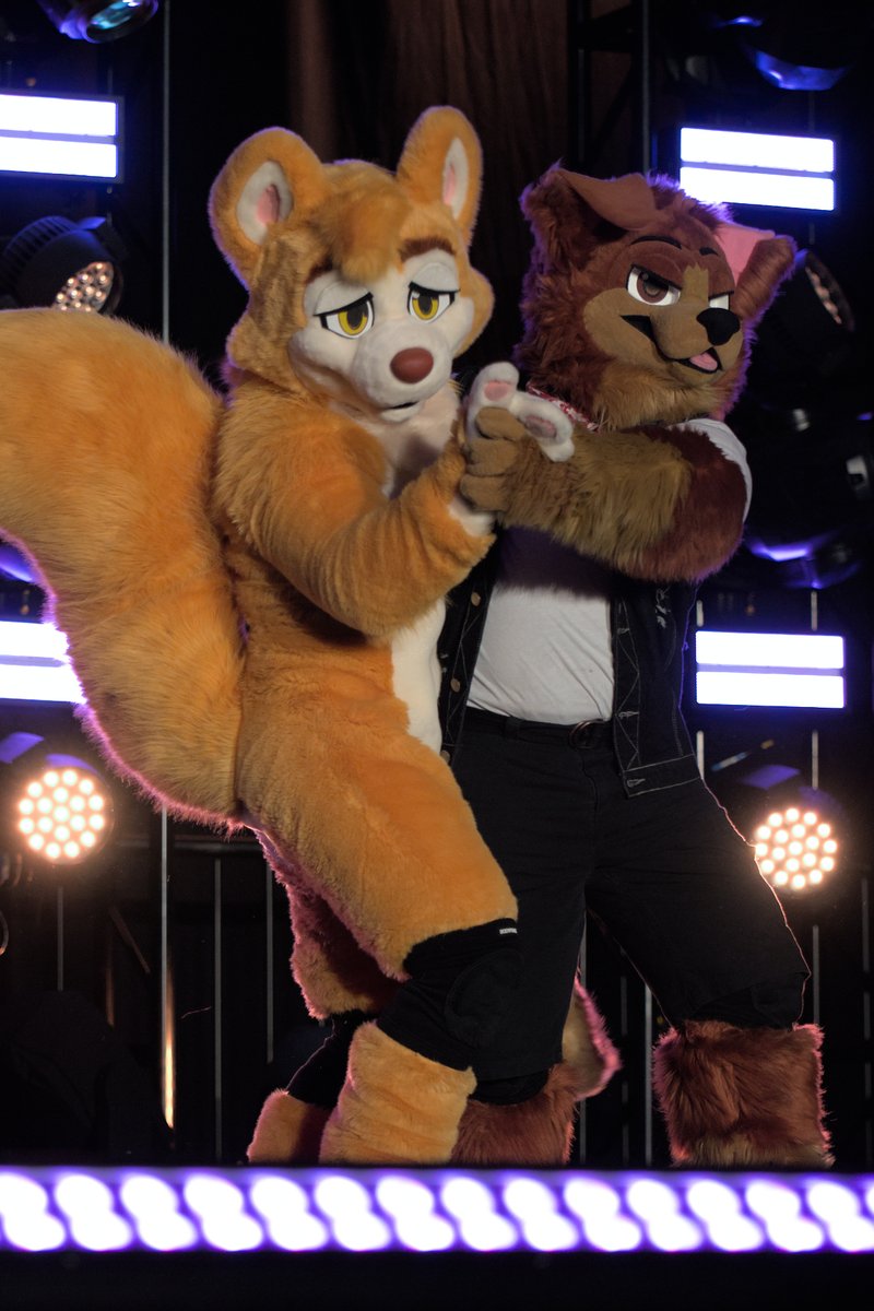RexKCollie's tweet photo. Even more #FurFest 2022 dance competition photos! Check out the album: https://t.co/UPyTcuuBvv https://t.co/dvlUWd26Rf