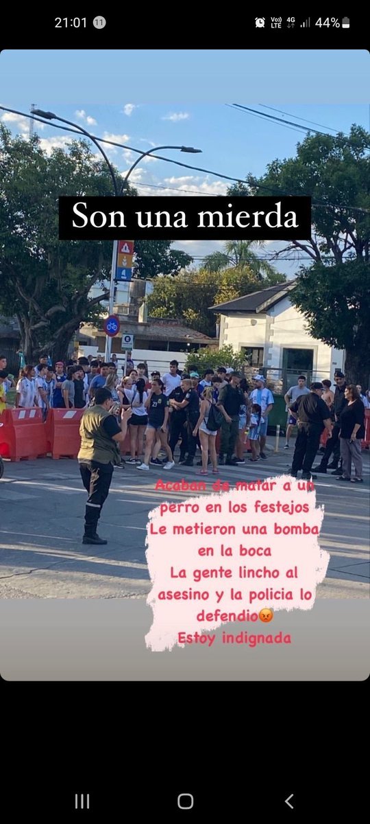 Anabela Tramontini tweet media