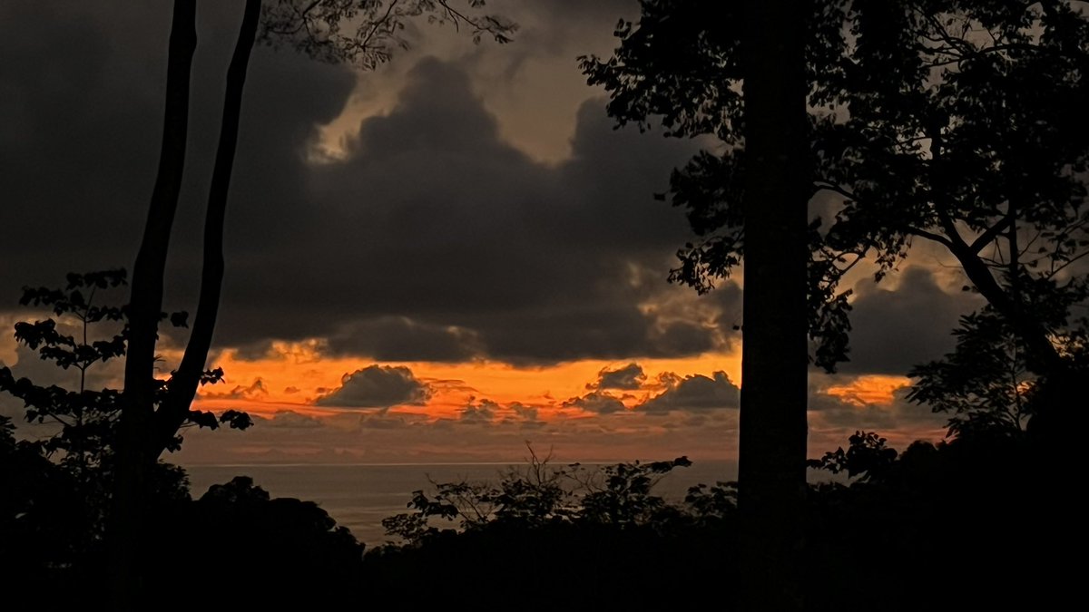 Stephanie Rewis tweet media