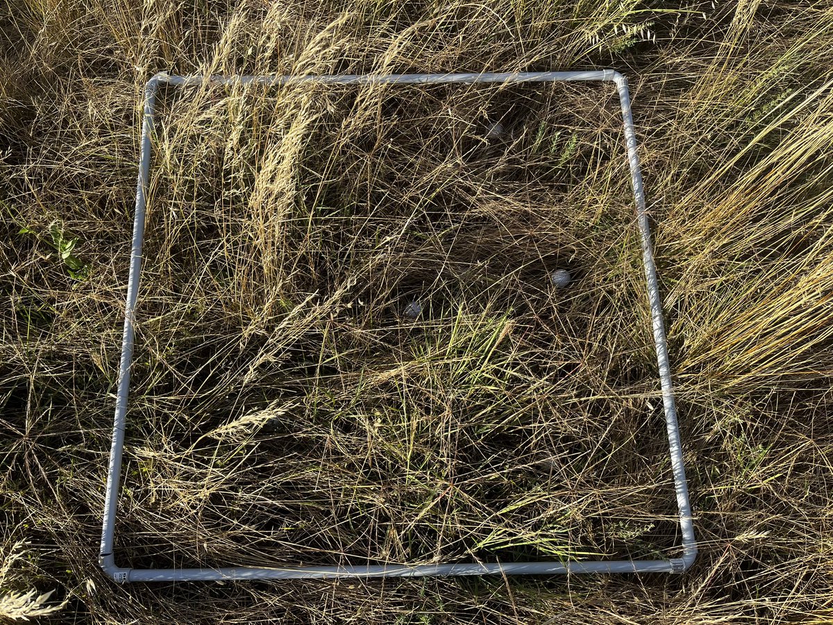 Daniel Nugent tweet media