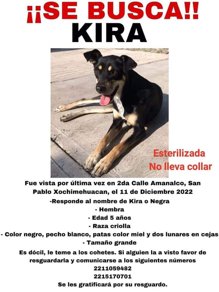 mapez085's tweet photo. Ayuda por favor @aztecapuebla  @MariLoliPellon  @TelevisaPuebla @carlosmartinh @laredcincoradio  ayudame a compartir https://t.co/oioTaN9ouA