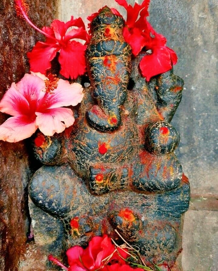 जय श्री गणेश जी 🙏❤
जय श्री गोविंदा गोपाला जी🌺🍁