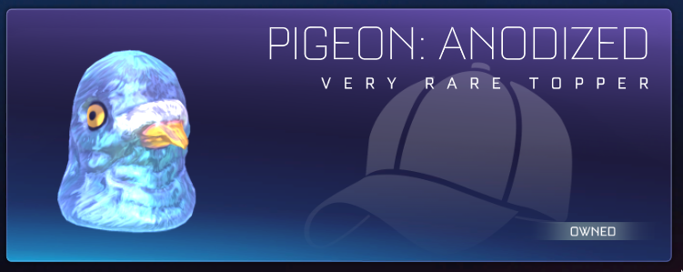 RL_Pigeon's tweet photo. Again?! :O https://t.co/h31lUNxPV0