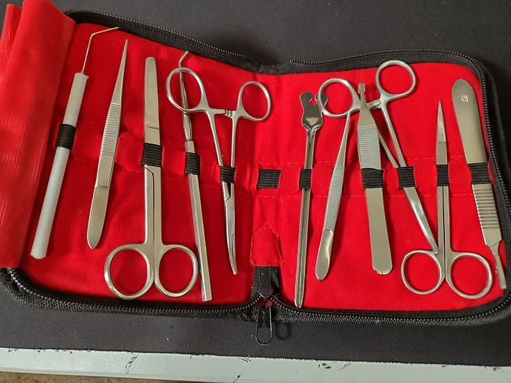 EmeraldScales's tweet photo. Price reductions on the last 3 animals, plus some more supplies listed at a discount! https://t.co/k2fQ78UqYe